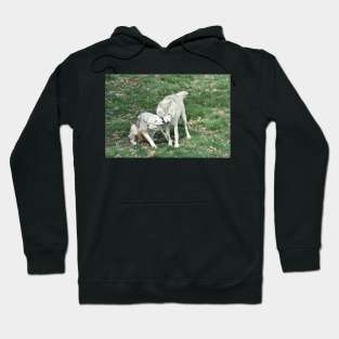 Wolves Hoodie